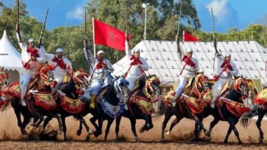 عروض التبوريدة في المغرب.. استعراض الفروسية الذي يحفظ روح التاريخ ويشعل حماس الجماهير