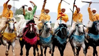 التبوريدة في المغرب.. عرض الفروسية الذي يحول التاريخ إلى احتفال حي