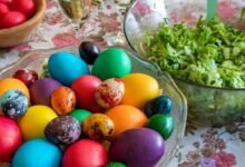 أفضل الأماكن لقضاء شم النسيم في مصر.. حديقة الأزهر والقناطر الخيرية 