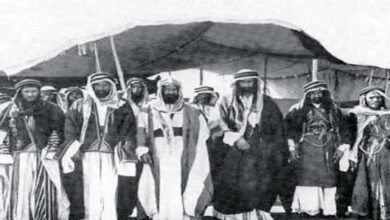 الحناتيش