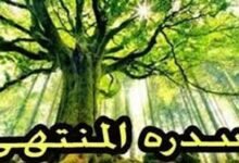سدرة المنتهى