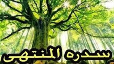 سدرة المنتهى