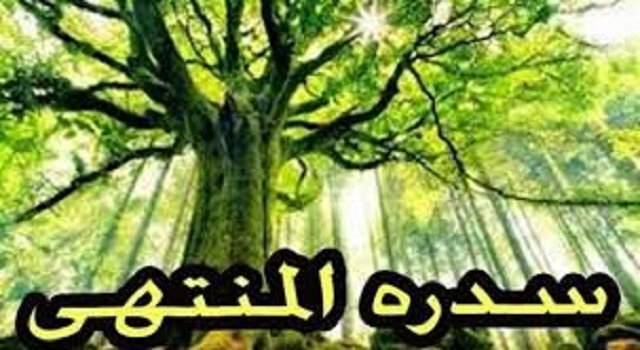 سدرة المنتهى