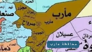معسكر أم ريش