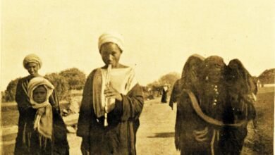“السامر الليلي”.. عادة عربية قديمة جمعت القبائل حول الحكايات والشعر حتى الفجر