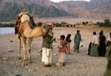 الدور الإجتماعي والتنويري لشعر البادية