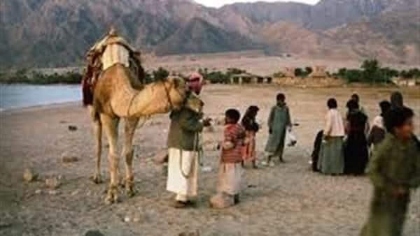 الدور الإجتماعي والتنويري لشعر البادية