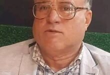 الأدب والنقد الأدبي المعاصر : النص وسقوط النظرية الأدبية