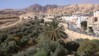 العونة في الأردن.. تقليد شعبي يحول التعاون إلى أسلوب حياة