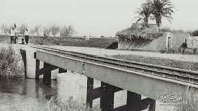 حوش عيسى