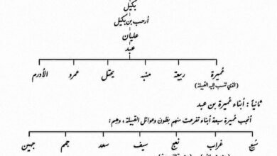 بنو عميرة الهمدانية