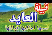آل عايد.