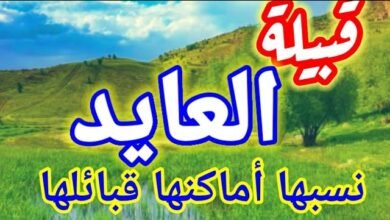 آل عايد.
