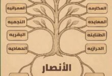 الأنصار