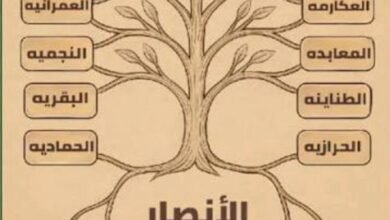 الأنصار