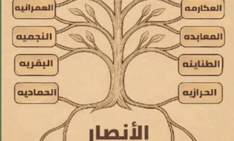 الأنصار
