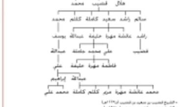 القواسم