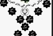 بنو عامر بن صعصعة