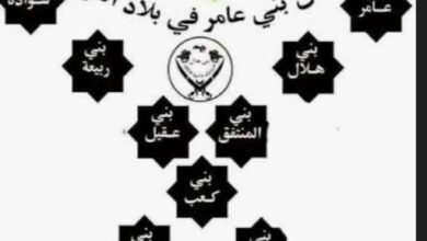 بنو عامر بن صعصعة