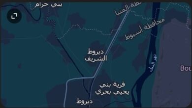 ديروط الشريف