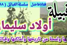 سيف النصر