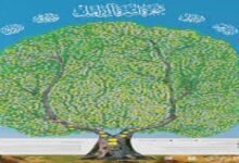 أبو زامل
