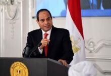 حصاد التنمية ينتصر على الإرهاب.. عبدالله جهامة: التجمعات التنموية في سيناء تجني ثمارها بإنتاج آلاف الأطنان من القمح