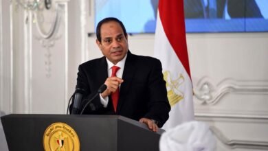 حصاد التنمية ينتصر على الإرهاب.. عبدالله جهامة: التجمعات التنموية في سيناء تجني ثمارها بإنتاج آلاف الأطنان من القمح