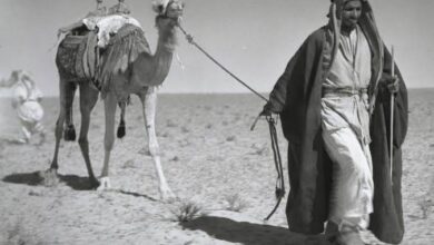 "النجعة".. عادة عربية قديمة كانت تغير مكان القبيلة بالكامل بحثًا عن الحياة