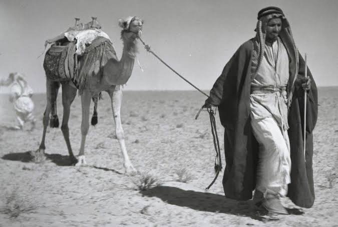 "النجعة".. عادة عربية قديمة كانت تغير مكان القبيلة بالكامل بحثًا عن الحياة