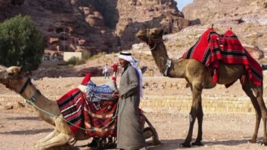 "الدخلة".. عادة بدوية قديمة جسدت معاني الأمان وحماية الضيف