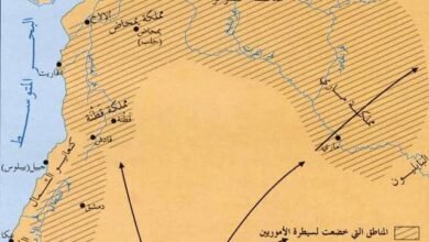 العموريون في فلسطين