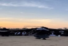 الدواغرة