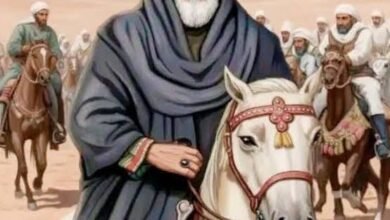 شيخ العرب همام.. سلطان الصعيد الذي صنع مجد الهمامية ورسخ إرثًا قبليًا امتد لقرون